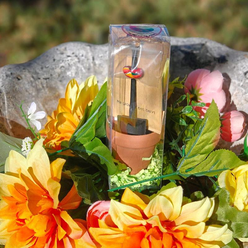 Grow Your Imagination with the Enchanting Potted Magic Bean Kit!