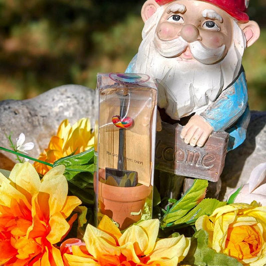 Grow Your Imagination with the Enchanting Potted Magic Bean Kit!