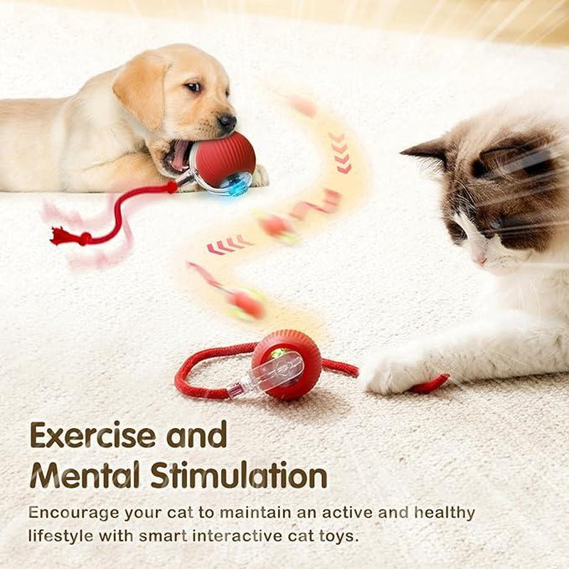 Interactive Electric Cat Toy Ball - Motion-Sensing Fun for Indoor Cats & Dogs, Keeps Pets Active & Entertained! Perfect Gift for Pet Lovers!