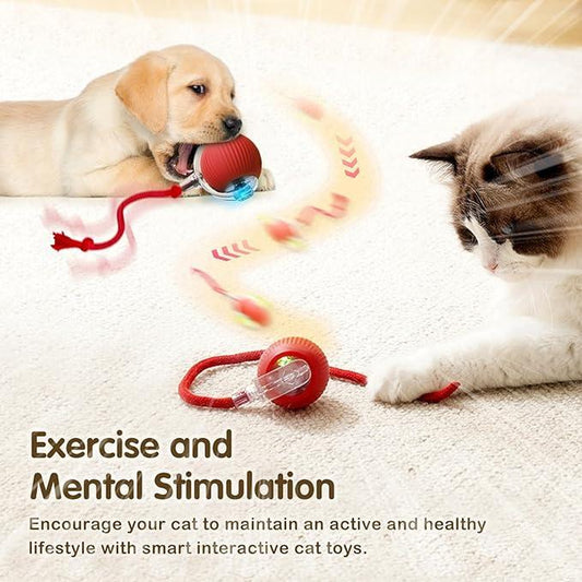 Interactive Electric Cat Toy Ball - Motion-Sensing Fun for Indoor Cats & Dogs, Keeps Pets Active & Entertained! Perfect Gift for Pet Lovers!