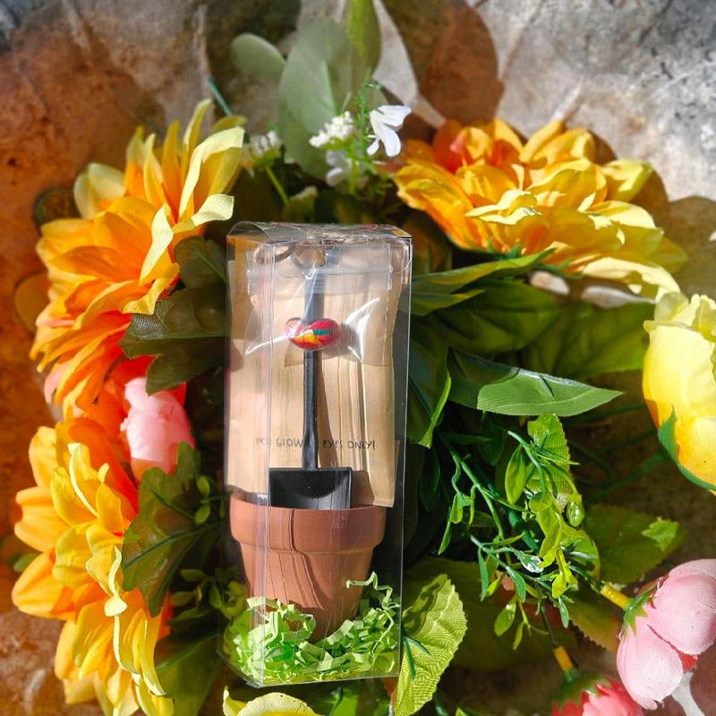 Grow Your Imagination with the Enchanting Potted Magic Bean Kit!