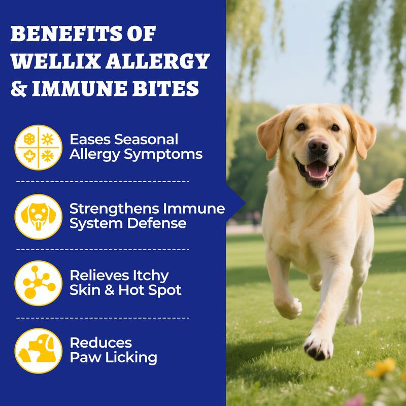Wellix 260-Count Natural Dog Allergy Relief Chews - Soothing Itchy Skin & Ears with Immune Support