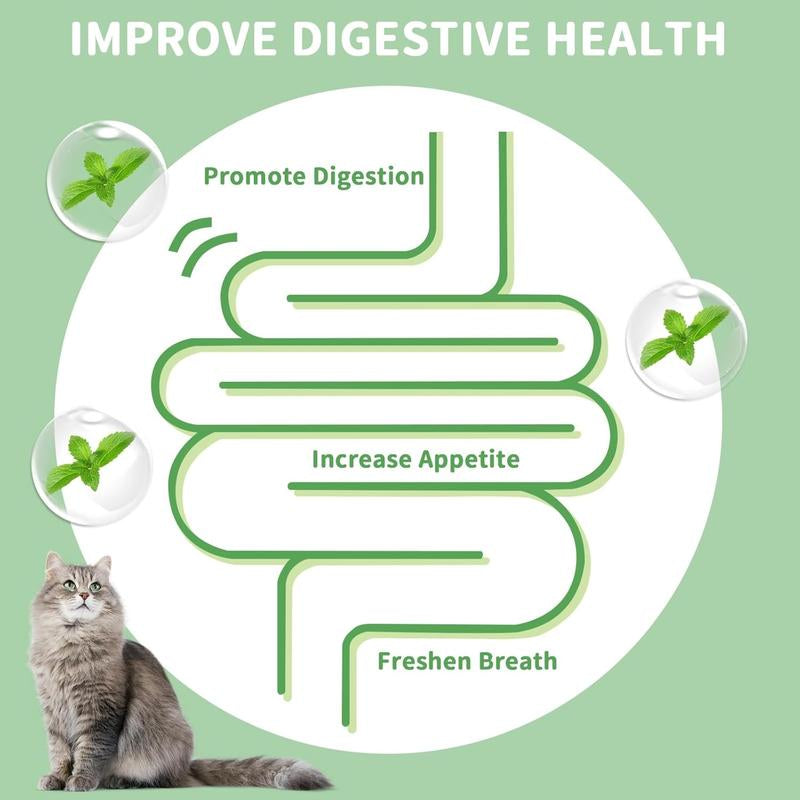 Ultimate Catnip Energy Balls - Edible Chew Treats for Dental Health & Fun for All Breeds!